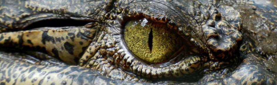 ����� �� ���������� ��������� �� ������?