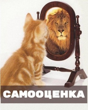 ����������: ��� ��� ����������?