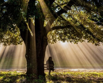 ��� ����� ���� � ���� ��������