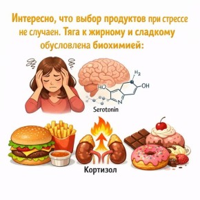 Как стресс влияет на наш выбор продуктов питания