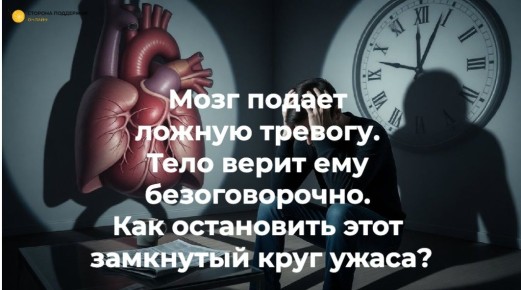 Страх перед паникой: как он формирует паническое расстройство