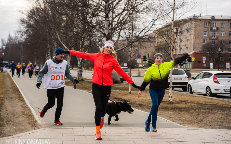 Начните здоровую жизнь прямо сегодня