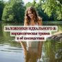 Как нарциссическая травма формирует ложное «Я»
