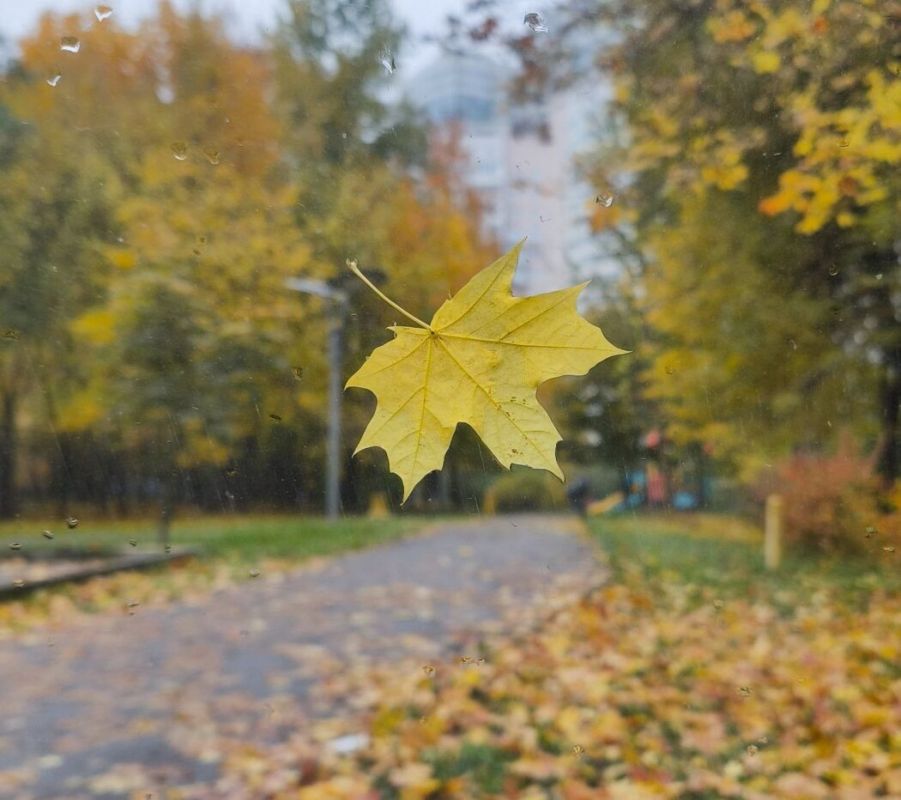 Как осенний сезон влияет на наше настроение