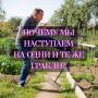 Почему мы продолжаем наступать на одни и те же грабли